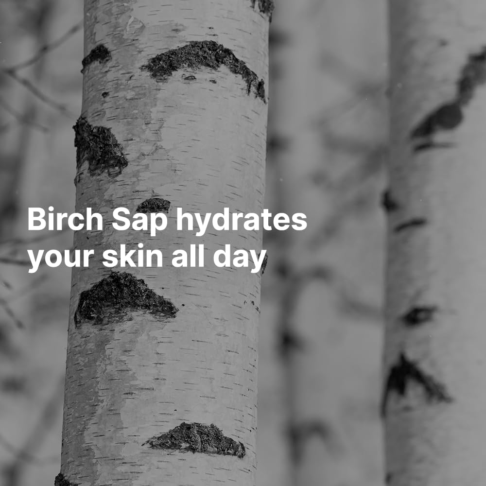 ROUND LAB Birch Juice Moisturizing SPF 45 broad spectrum 50ml - Image 5
